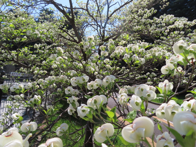 ファイル 8537-2.jpg