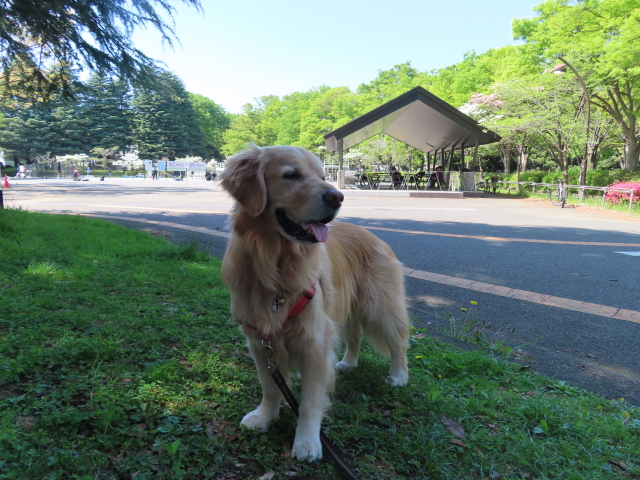 ファイル 8537-5.jpg