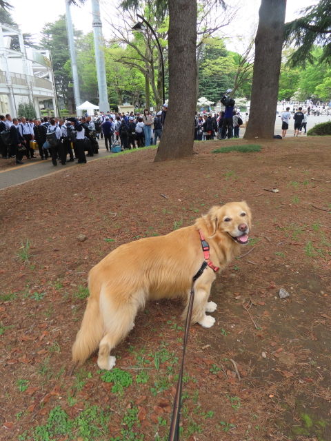 ファイル 8538-1.jpg