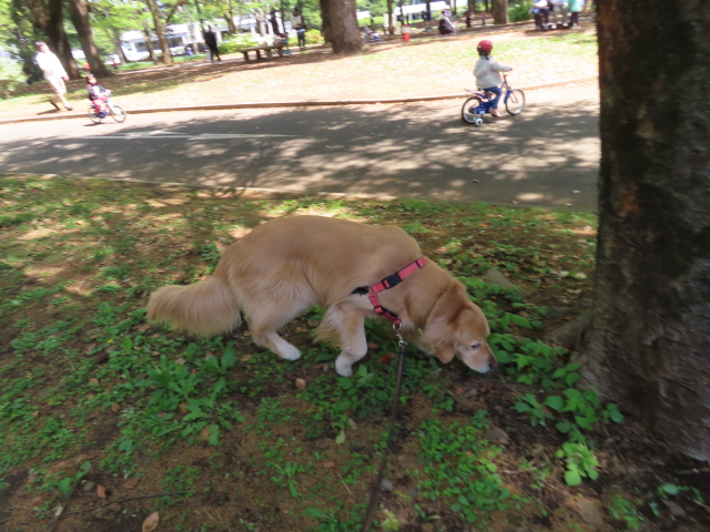 ファイル 8538-4.jpg