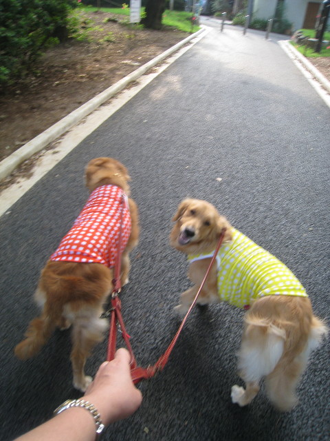 ファイル 854-4.jpg