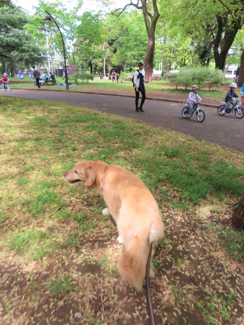 ファイル 8540-1.jpg