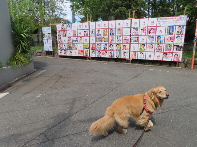 ファイル 8540-5.jpg