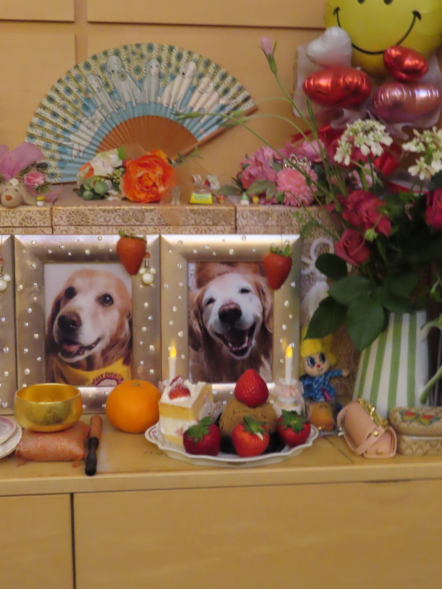 ファイル 8541-1.jpg