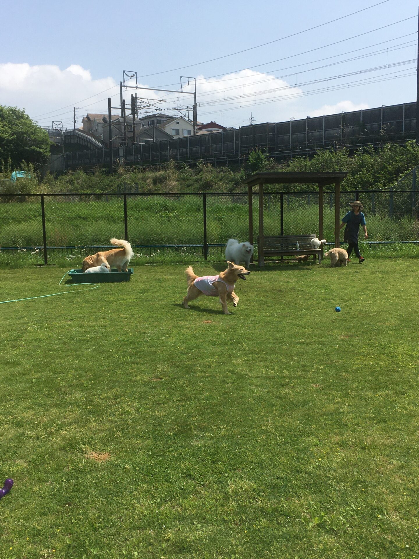 ファイル 8542-2.jpeg