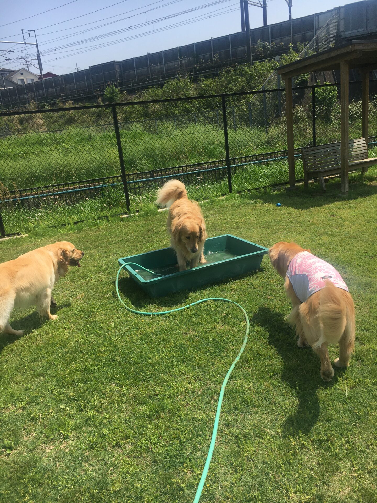 ファイル 8542-3.jpeg