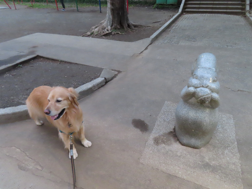 ファイル 8543-3.jpg