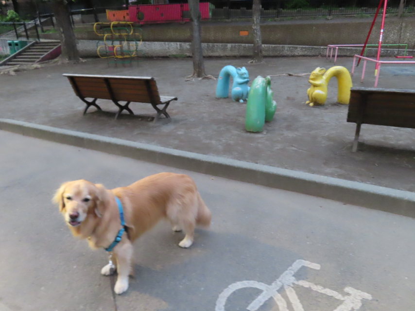 ファイル 8543-4.jpg