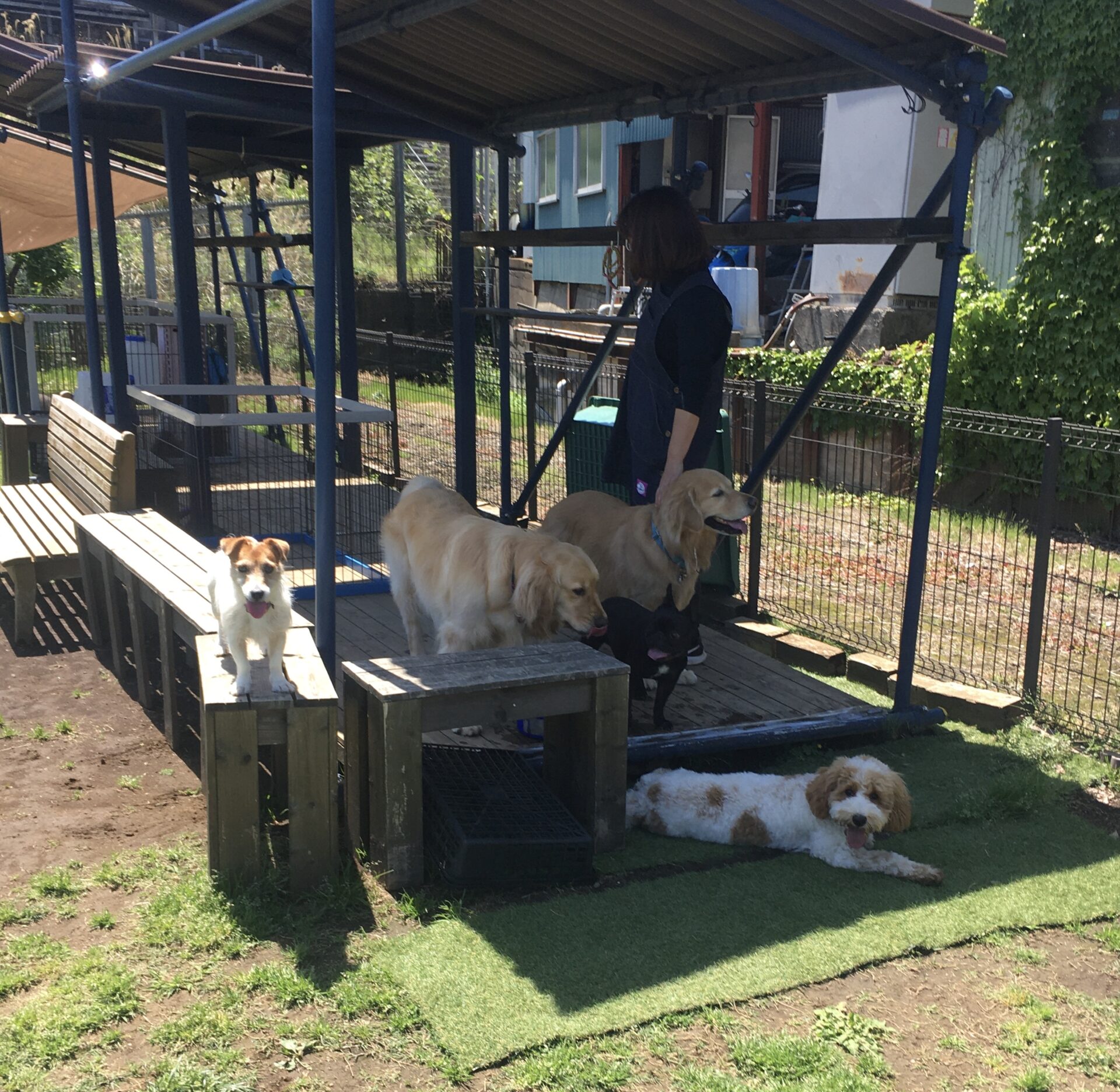 ファイル 8548-3.jpeg