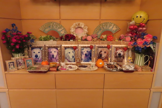 ファイル 8548-5.jpg