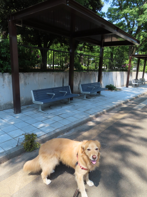 ファイル 8553-5.jpg