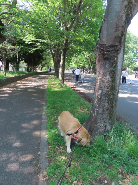 ファイル 8554-1.jpg