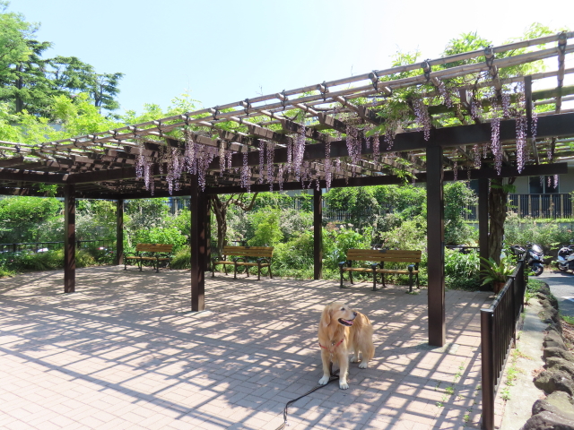 ファイル 8554-2.jpg