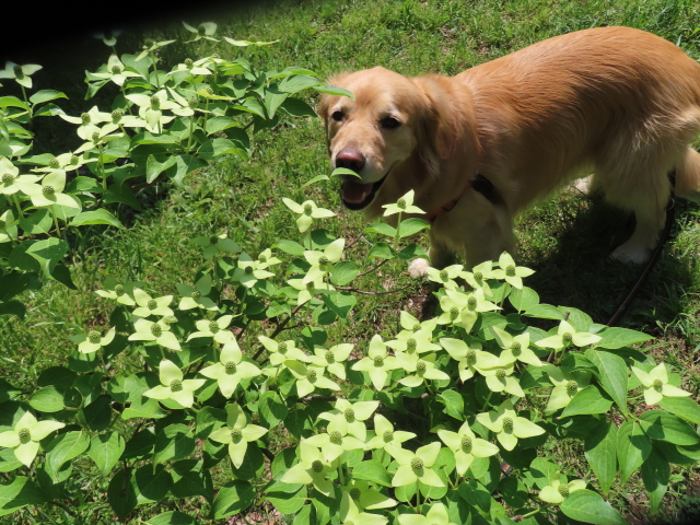 ファイル 8554-3.jpg