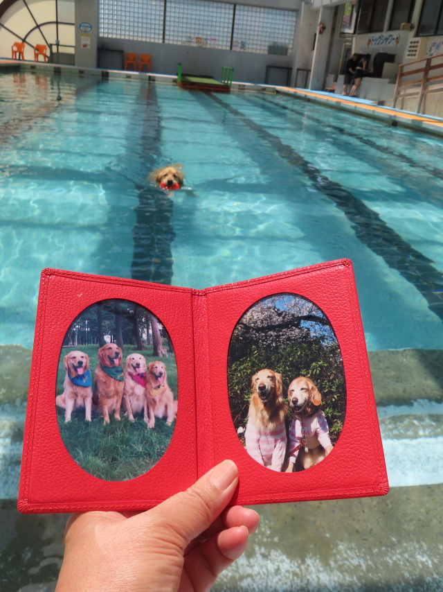 ファイル 8555-4.jpg