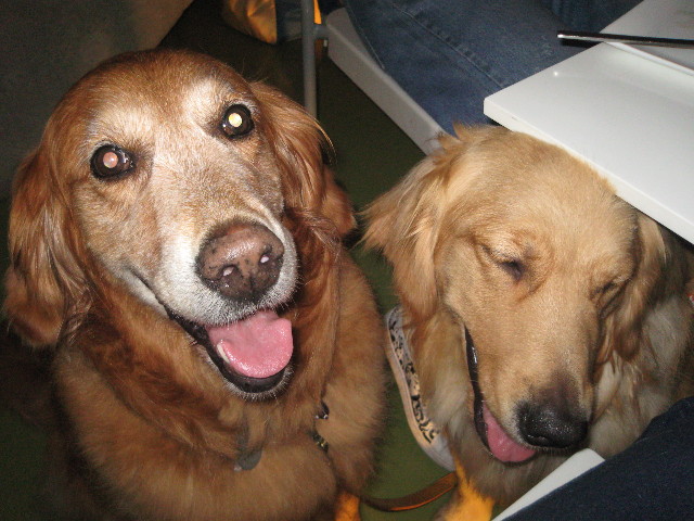 ファイル 856-4.jpg