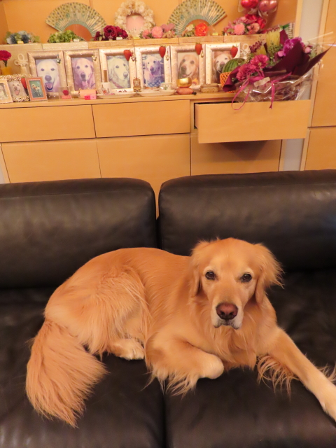 ファイル 8561-2.jpg