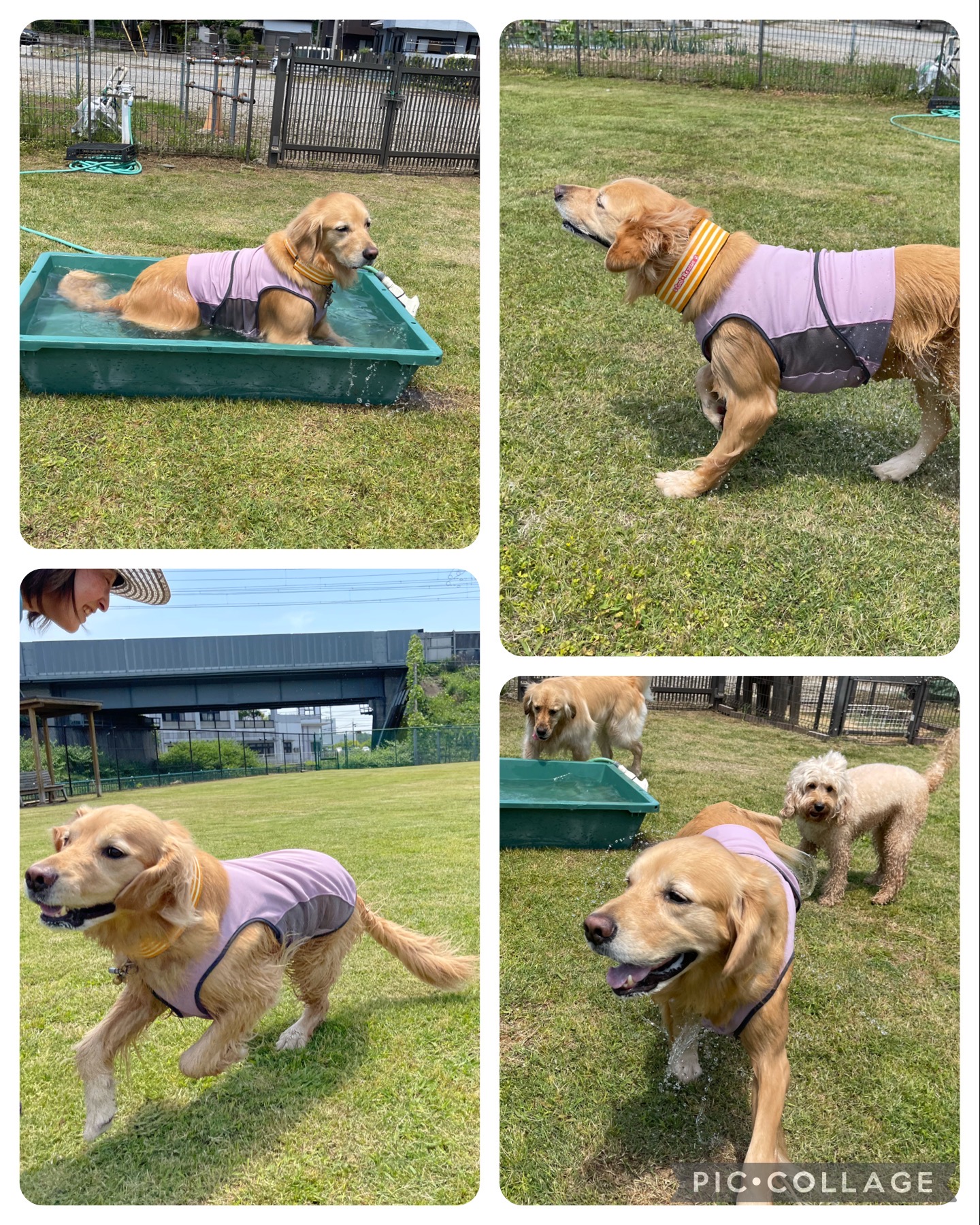 ファイル 8564-2.jpeg