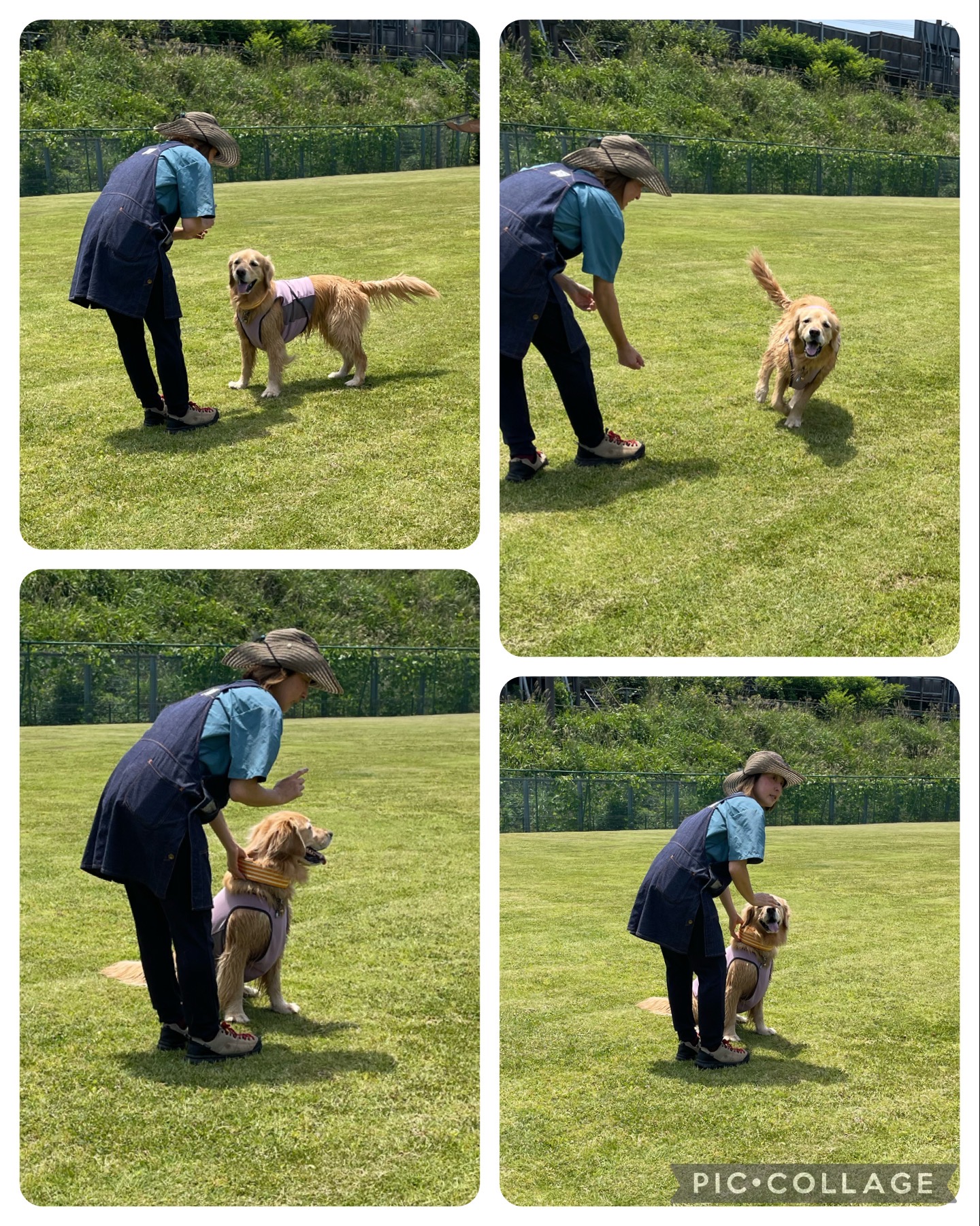 ファイル 8564-4.jpeg