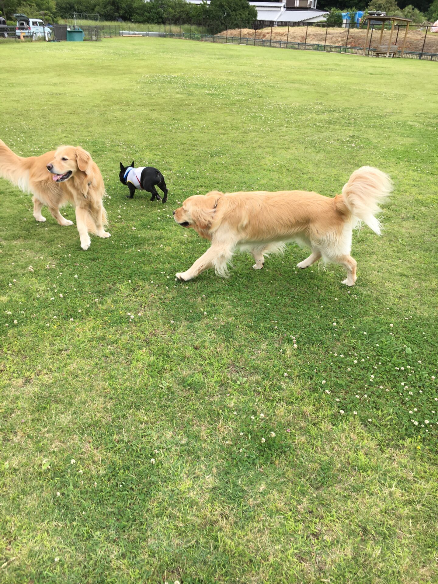 ファイル 8567-2.jpeg