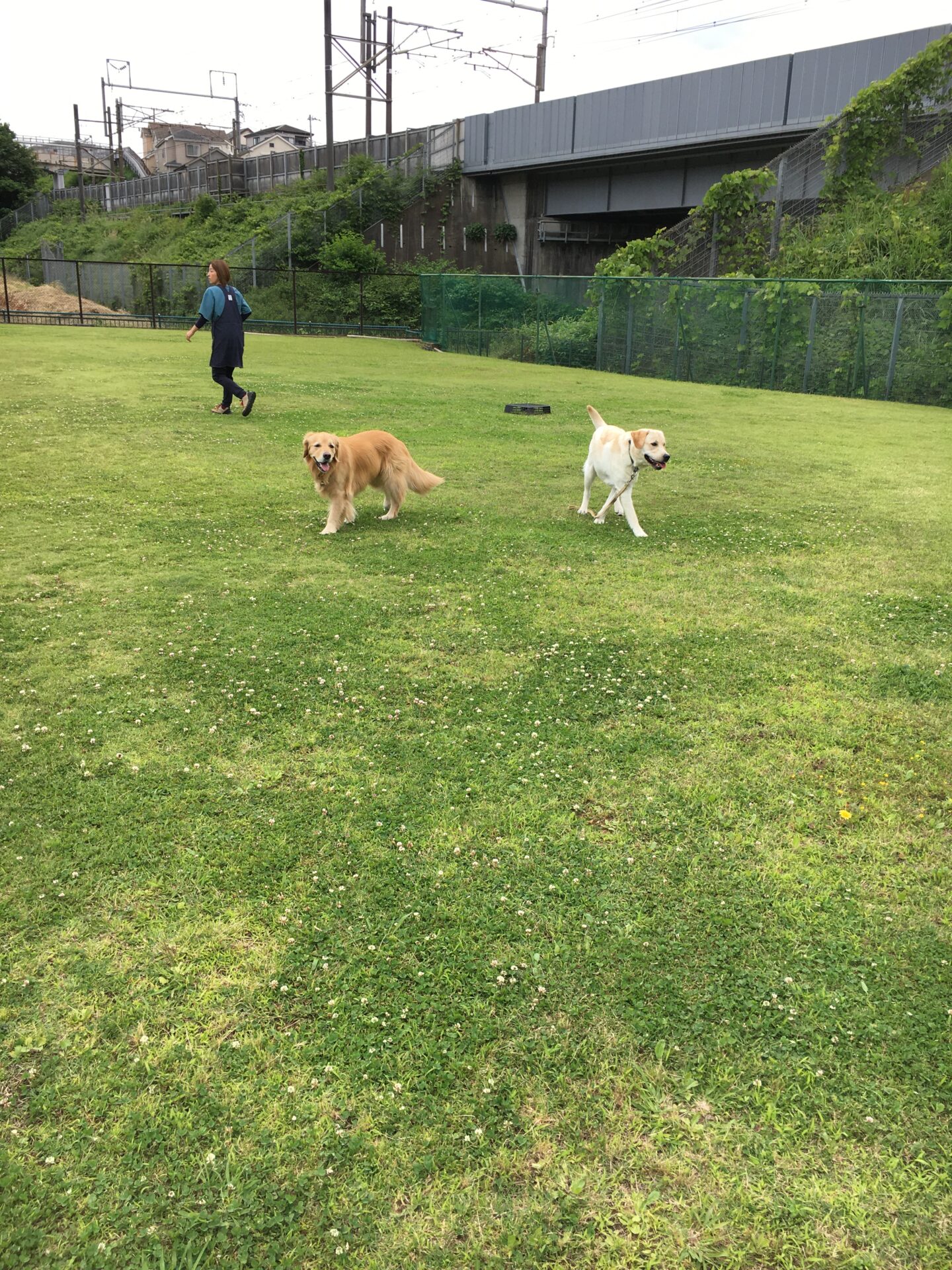 ファイル 8567-3.jpeg