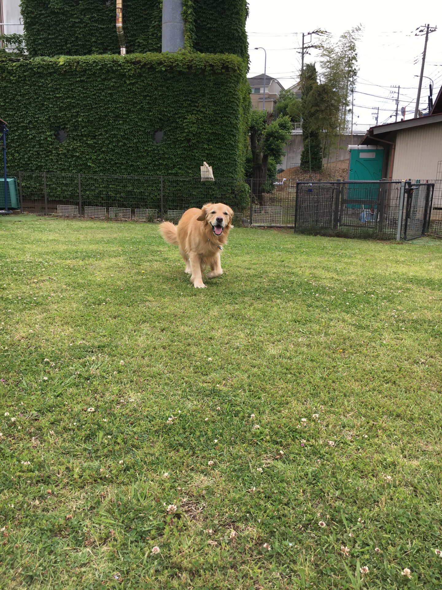 ファイル 8567-5.jpeg