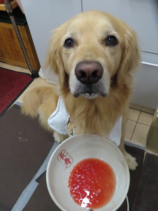 ファイル 8568-2.jpg