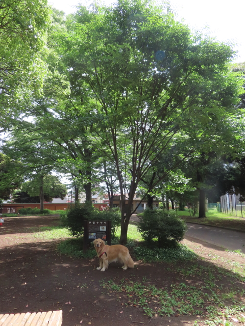 ファイル 8568-5.jpg