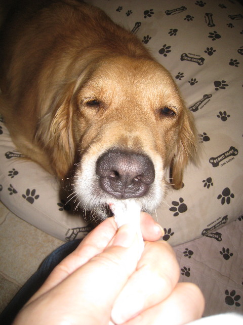 ファイル 857-5.jpg