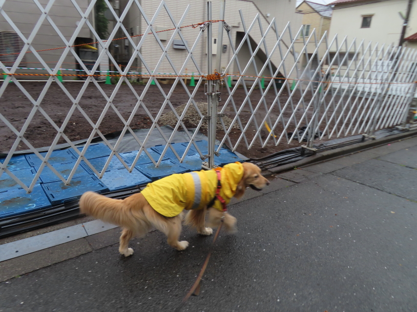 ファイル 8570-1.jpg