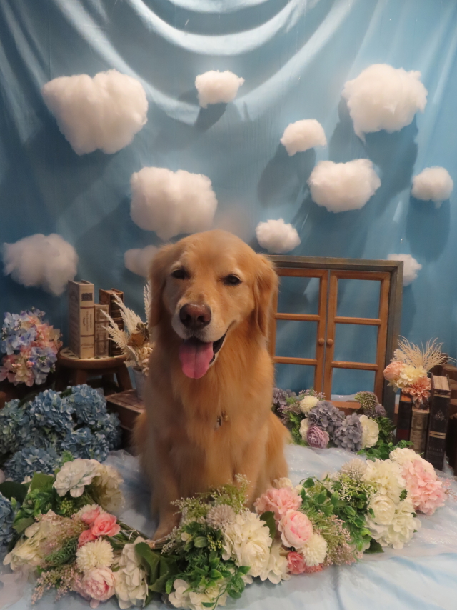 ファイル 8570-2.jpg