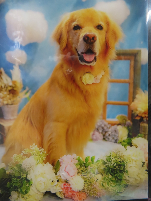 ファイル 8570-3.jpg