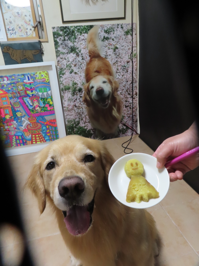 ファイル 8570-4.jpg