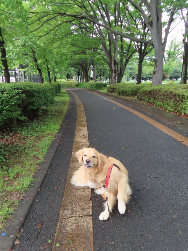 ファイル 8571-4.jpg