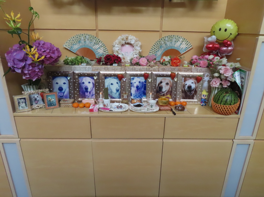 ファイル 8571-5.jpg