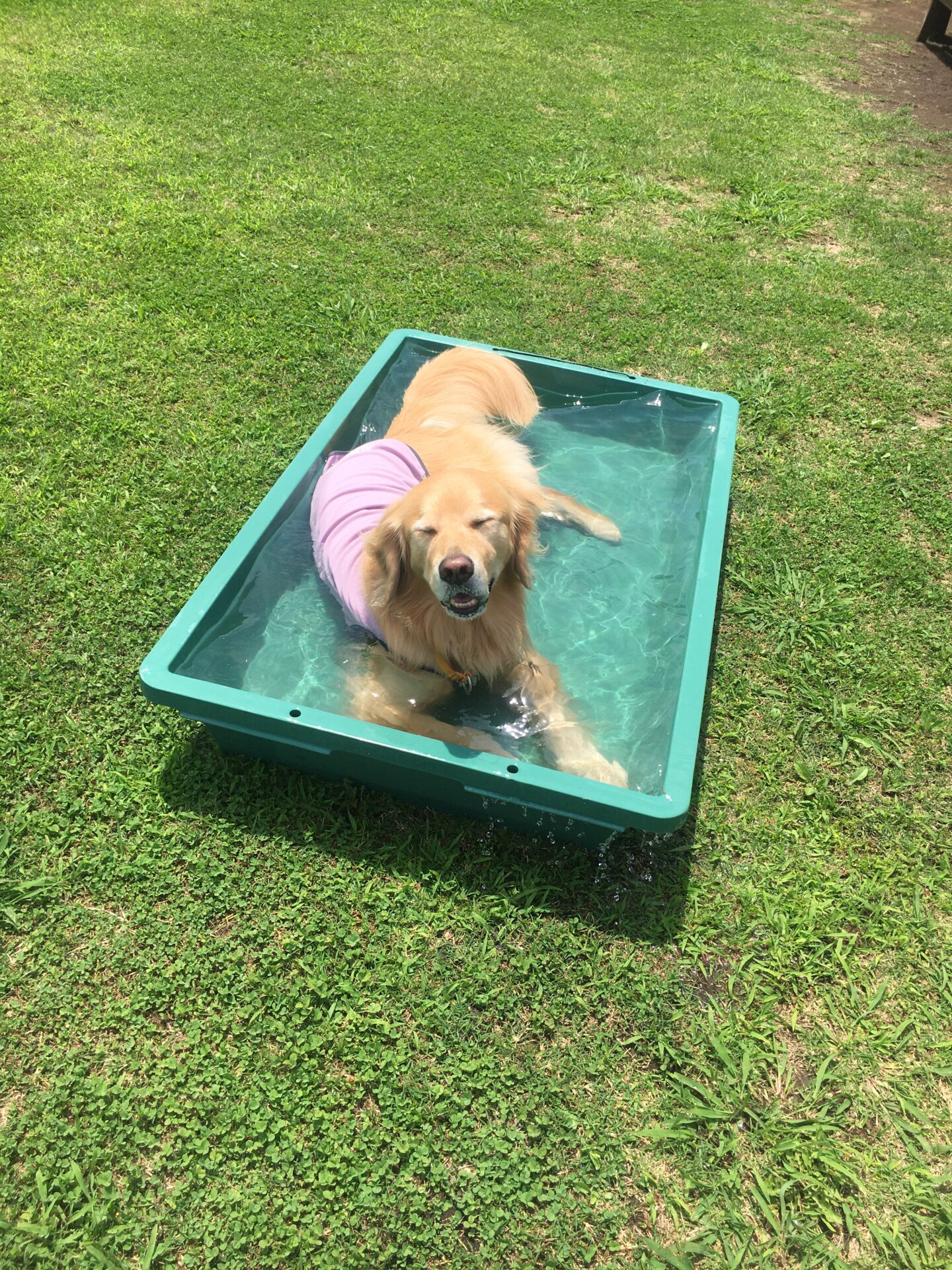 ファイル 8574-4.jpeg