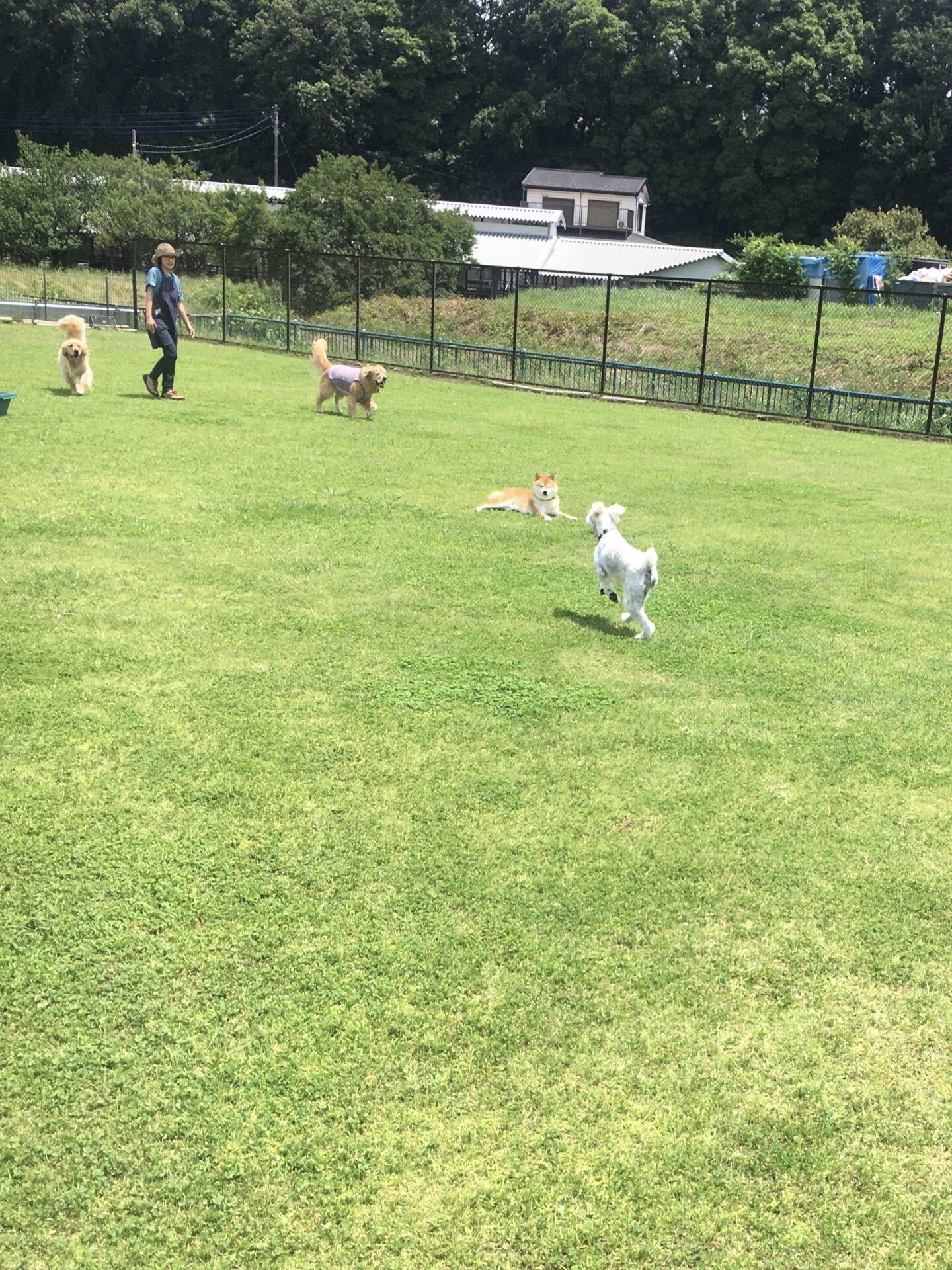 ファイル 8574-5.jpeg