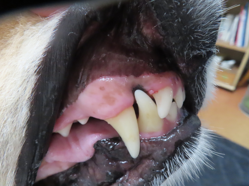 ファイル 8575-3.jpg