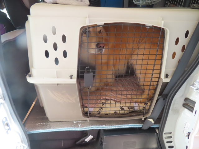 ファイル 8575-5.jpg