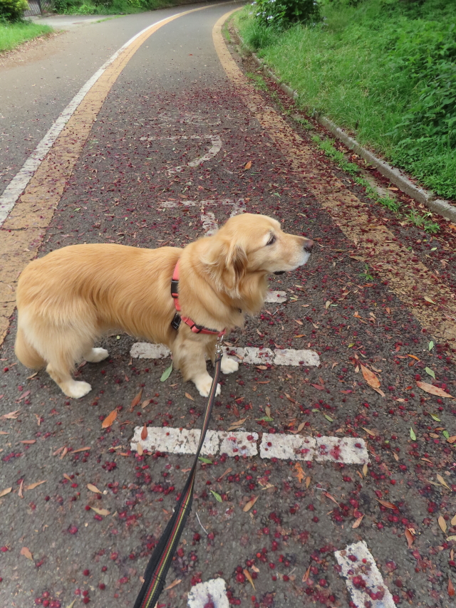 ファイル 8577-2.jpg