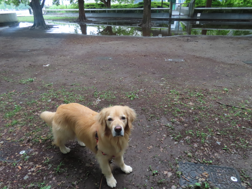 ファイル 8577-4.jpg