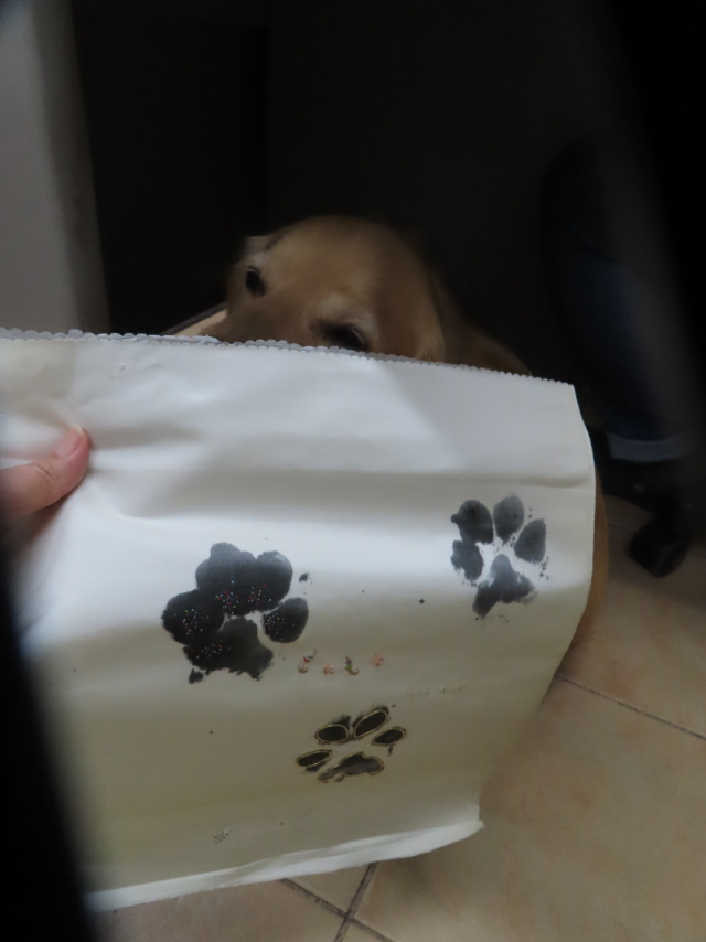 ファイル 8578-3.jpg