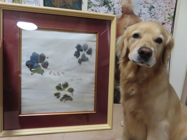 ファイル 8578-4.jpg