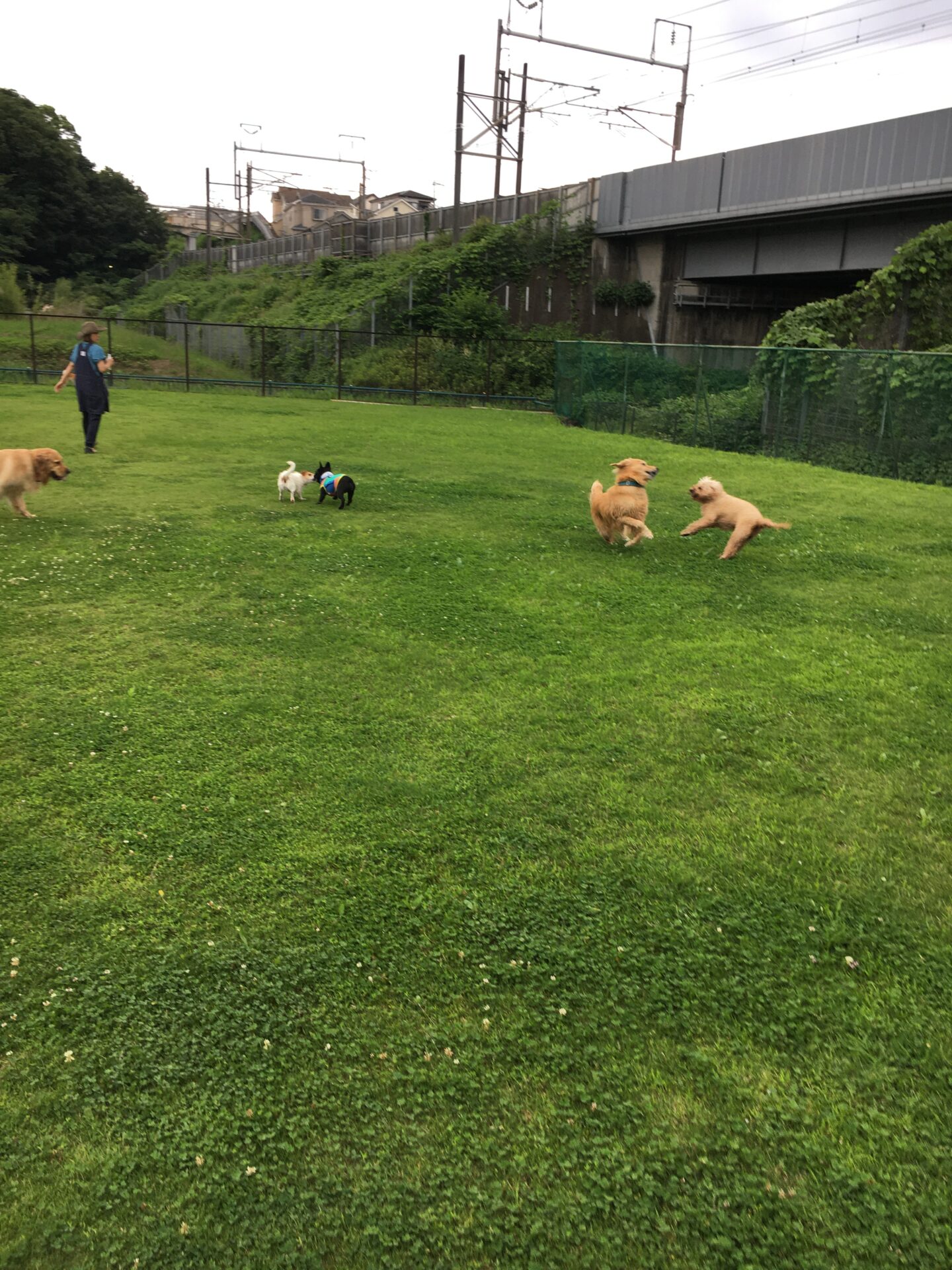 ファイル 8579-1.jpeg