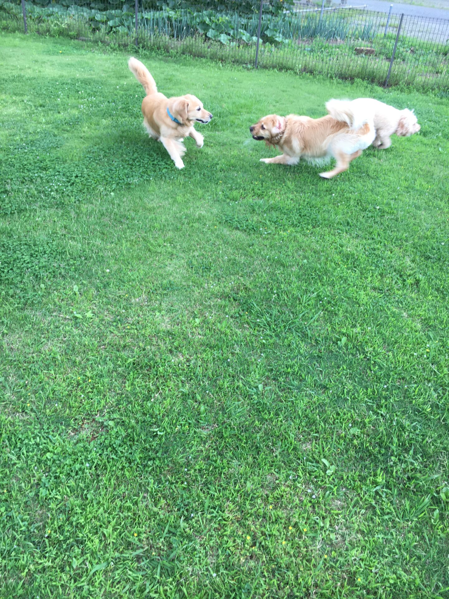 ファイル 8579-3.jpeg