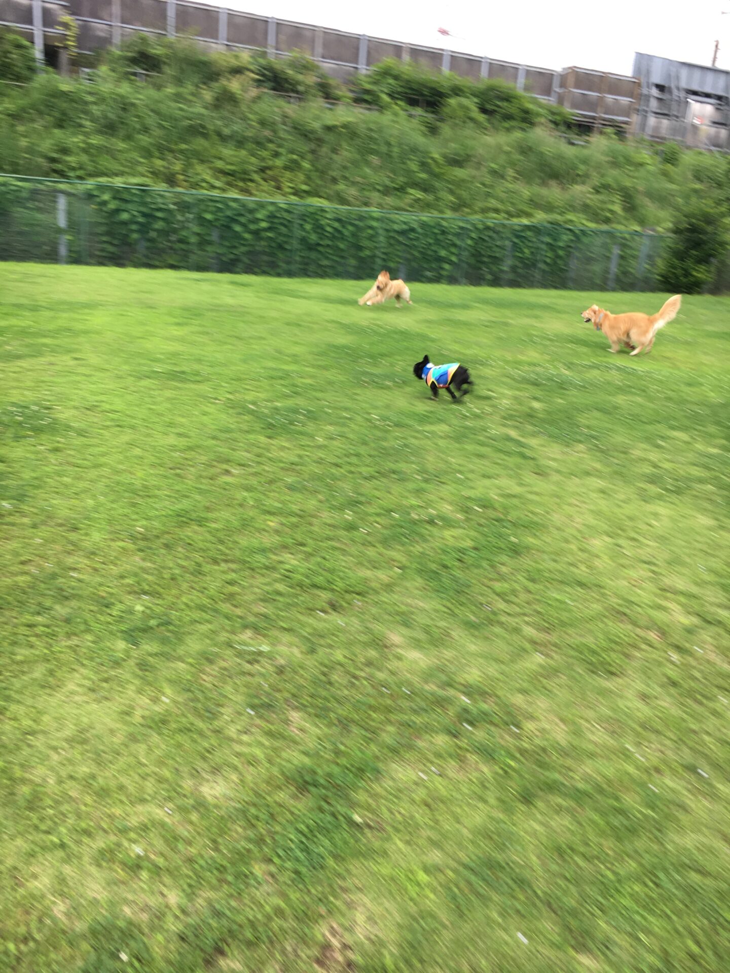 ファイル 8579-4.jpeg