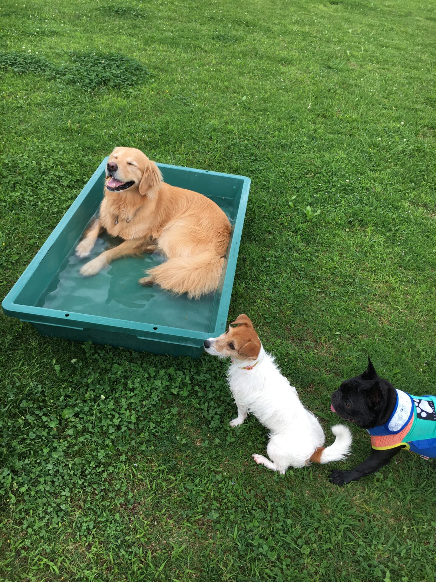 ファイル 8579-5.jpeg