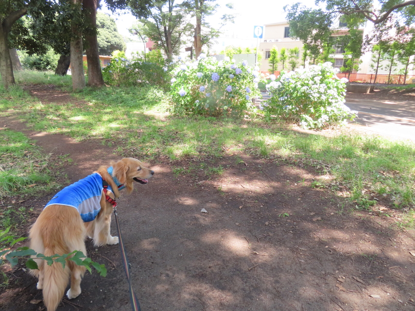 ファイル 8582-4.jpg