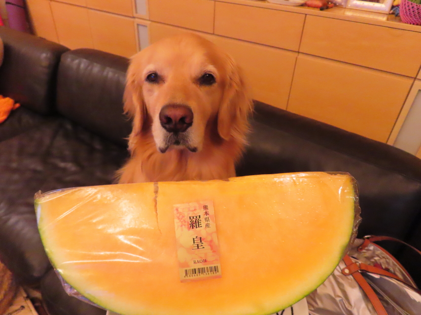 ファイル 8582-5.jpg