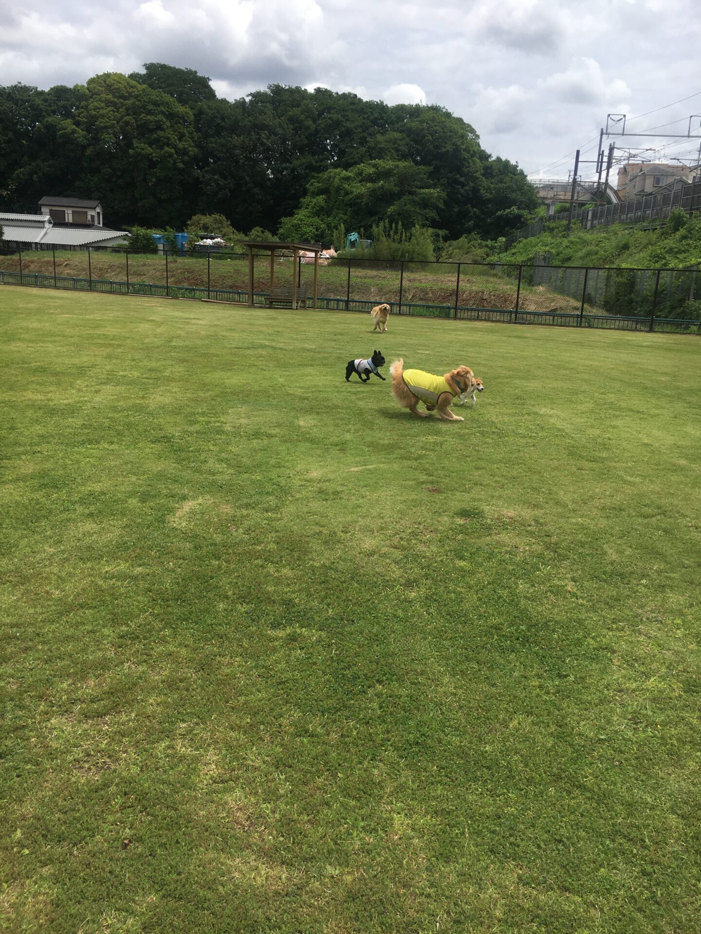 ファイル 8586-2.jpeg